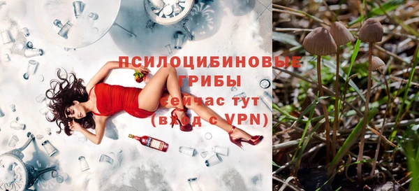 гидра Бронницы