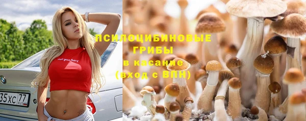 гидра Бронницы