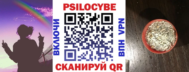 Псилоцибиновые грибы мухоморы  площадка телеграм  Городовиковск  кракен как зайти 