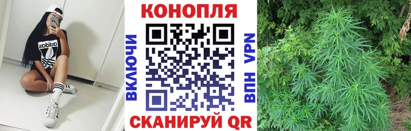 Канабис сатива  дарнет шоп  Городовиковск 